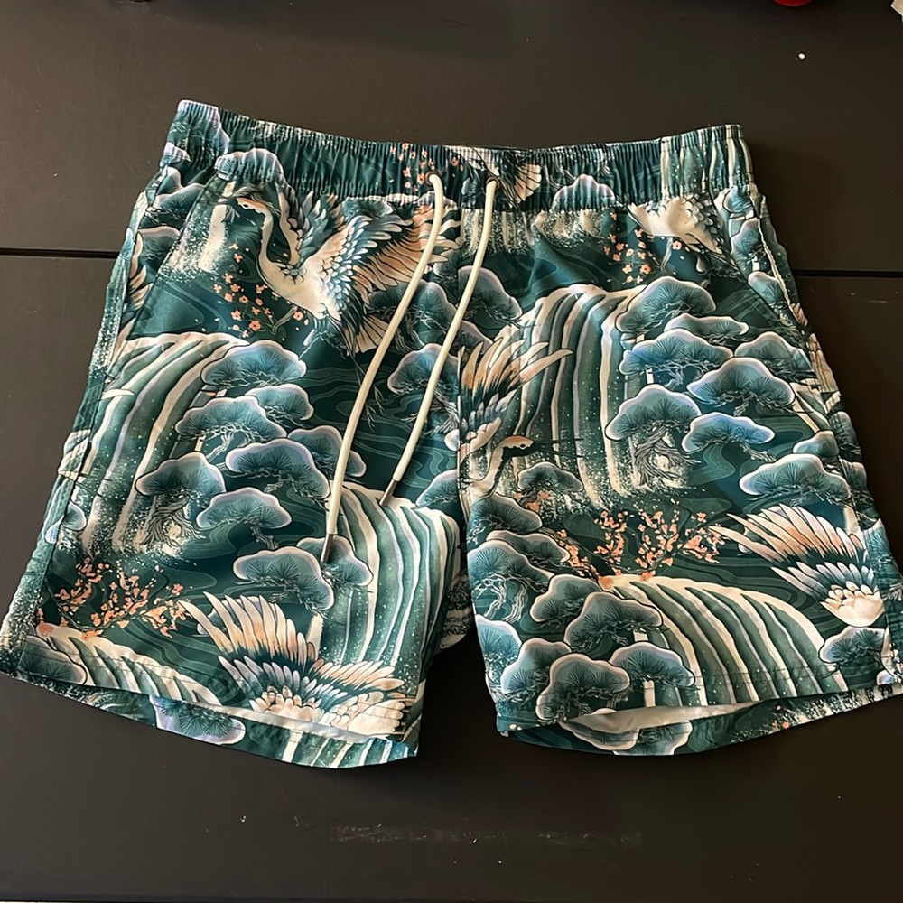 Cotton On Kahuna Shorts mens shorts